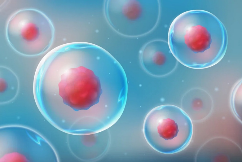 افزایش احتمال استفاده از سلول‌های بنیادی از قبل تولید شده برای درمان سرطان تهاجمی